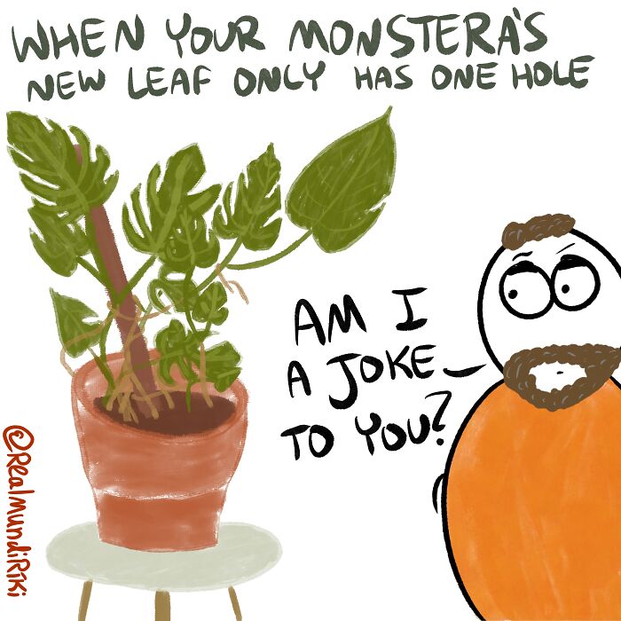 I Made 7 Comics About Living With Plants And I Wanted To Share Them With You