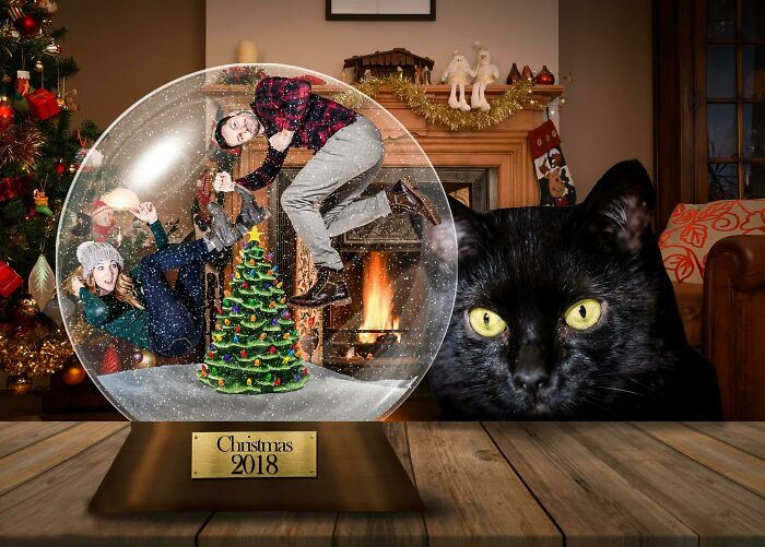 My Husband And I Create Christmas Cards With Our Cat Every Year. This Is The One For 2018