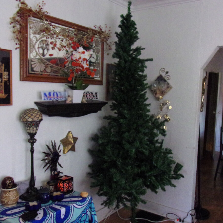 12 Christmas Trees You Wouldn’t Want To Have In Your House