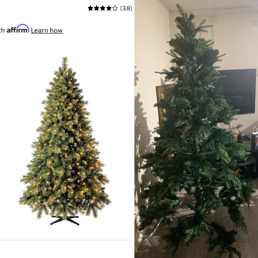 12 Christmas Trees You Wouldn’t Want To Have In Your House