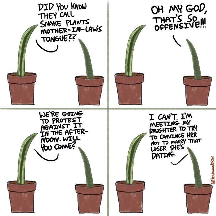 I Made 7 Comics About Living With Plants And I Wanted To Share Them With You