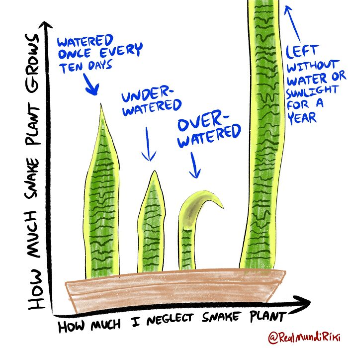 I Made 7 Comics About Living With Plants And I Wanted To Share Them With You