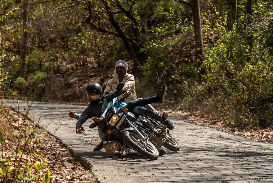 Category Human And Nature: Highly Commended, 'Collision Course' By Sridhar Sivaram