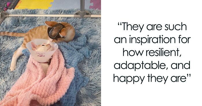 These Rescue Kittens Might Look Different, But It Won't Stop Them From Living Their Best Life