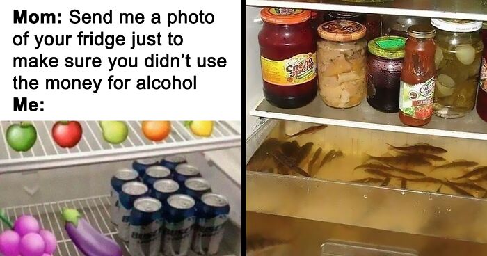 80 Funny, Chaotic And Downright Cursed Fridges Shared On The “Fridge Detective” Online Group