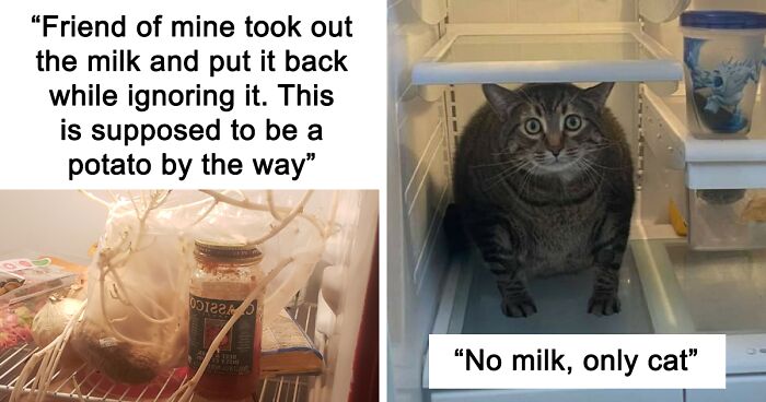 80 Chaotic And Cursed Fridges Shared On 