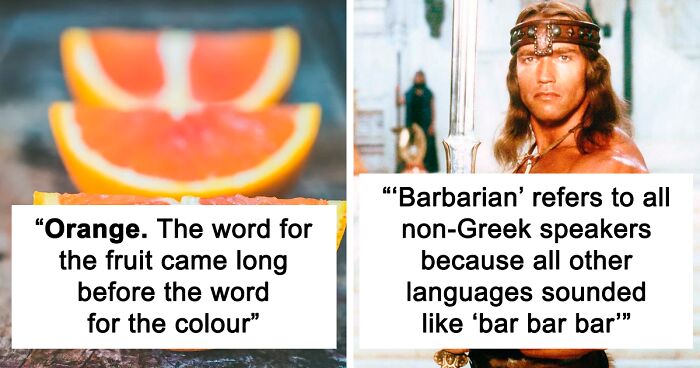 45 Interesting Word Origins That Might Surprise You, As Shared By Etymologists In This Thread