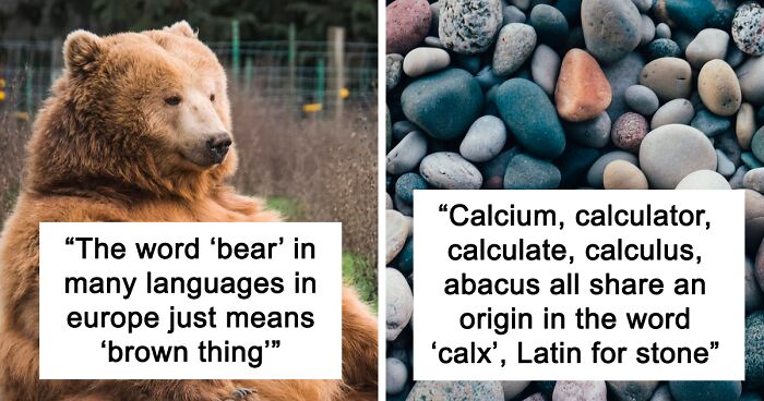 45 Etymologists Share The Coolest Origins Of Words In This Online Thread