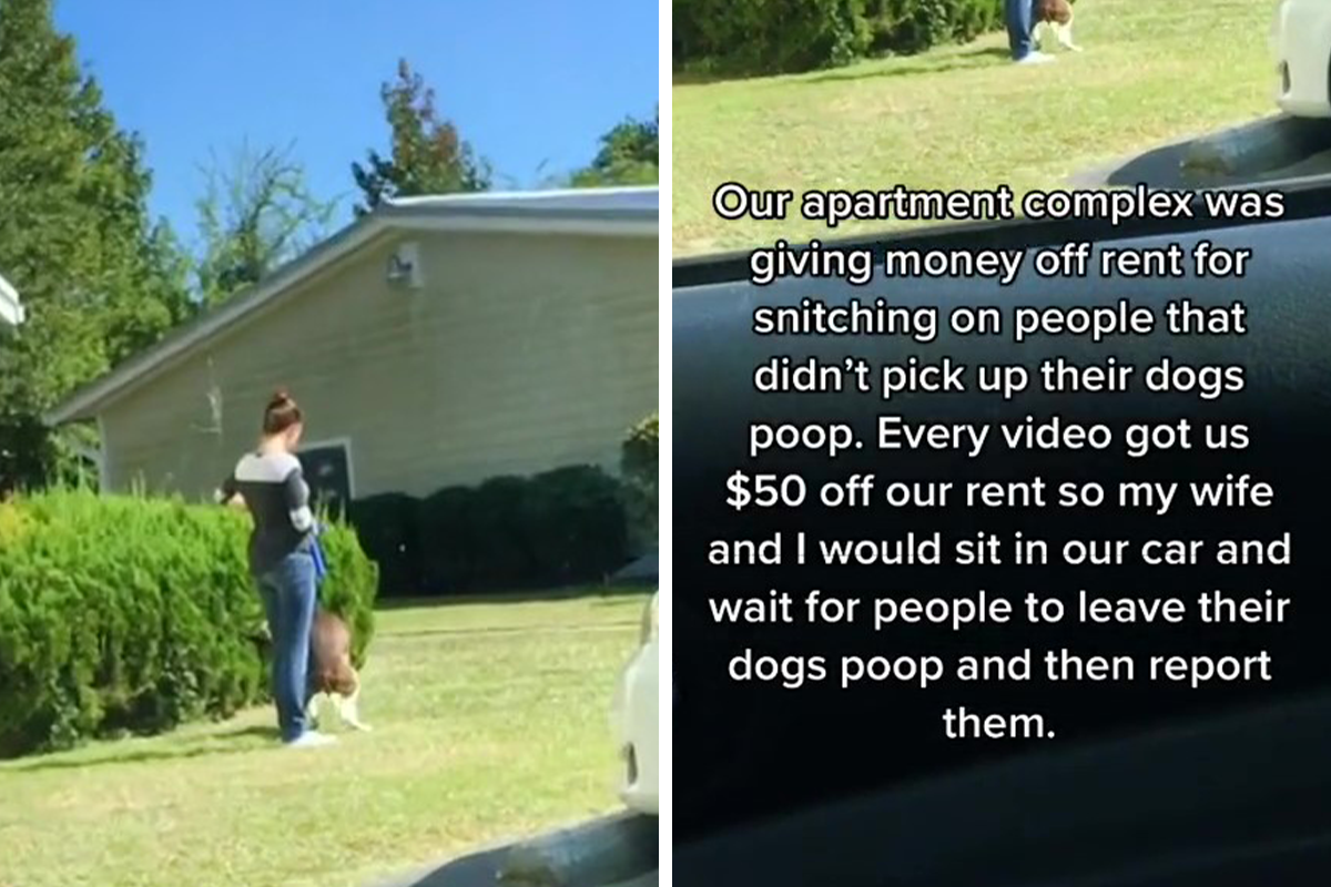 can i leave dog poop in my yard