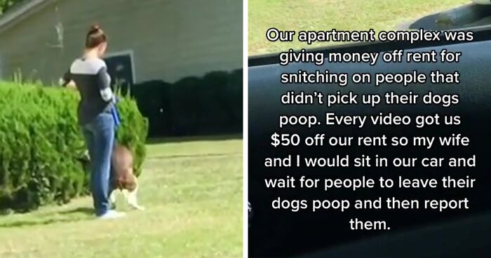 Folks Applaud This Apartment Complex Giving Residents $50 Off Rent For Every Video Exposing Neighbors Who Don't Clean Up After Their Dogs