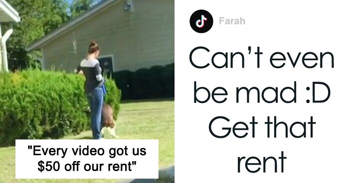 This Apartment Complex Was Giving Residents $50 Off Rent For Every Video Exposing Irresponsible Dog Owners