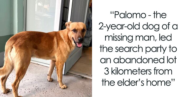 Meet Palomo, An 84-Year-Old Man’s Dog Who Helped Mexican Authorities To Rescue His Missing Owner