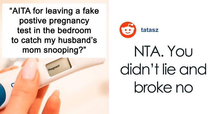 Woman Gets Accused Of Being A “Liar And Manipulator” For Planting A Fake Positive Pregnancy Test To Catch Her MIL Snooping