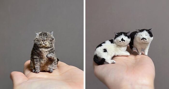 Tiny Felted Cats Shaped In Natural-Looking Poses, By This Japanese Artist (45 Pics)