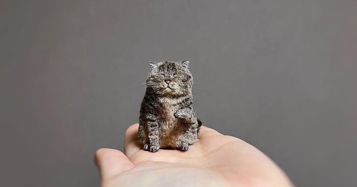 This Artist Makes Realistic-Looking Felted Little Cats In Various Signature Cat Poses (45 Pics)