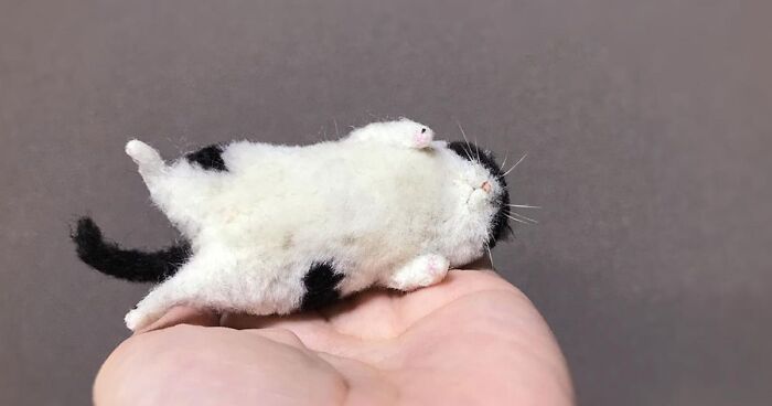 45 Adorable Felted Cats That Will Fit Into Your Palm, By The Artist Mebaru