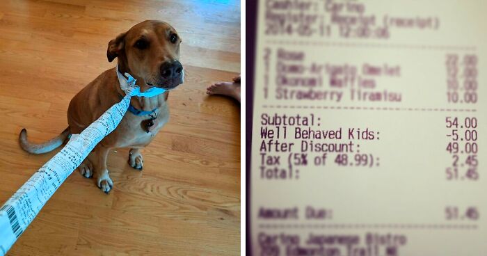 64 Hidden Gems People Found On Their Receipts