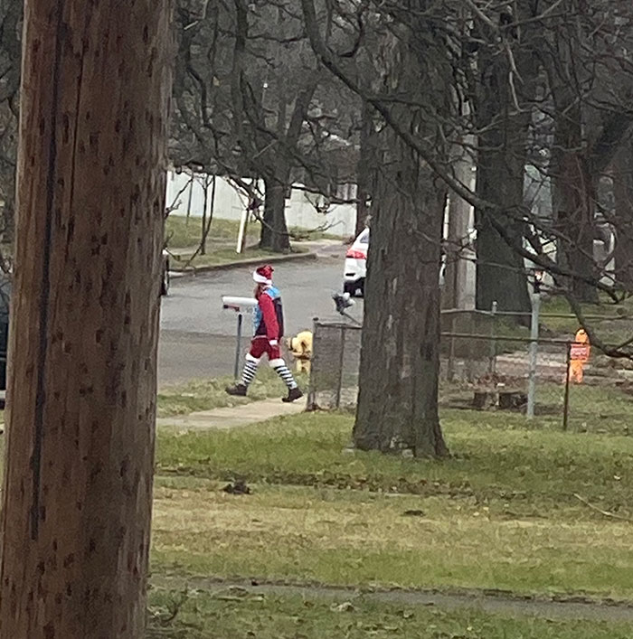 The Way Our Regular Amazon Delivery Driver Dressed For Christmas Eve