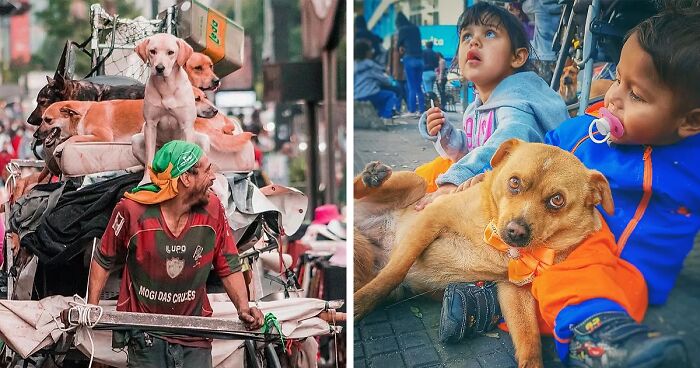 The Most Sincere Love Comes From Animals, And Here Are 60 Heartwarming Pictures Of Homeless People With Their Pets In Brazil (New Pics)