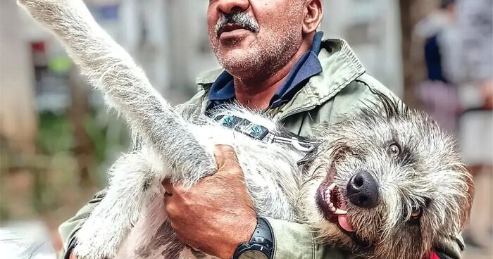 These Pictures Document The Strong Bond Between Homeless People And Their Pets In Brazil, As Shared On This IG Page (60 New Pics)