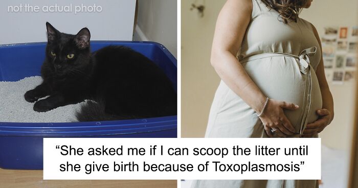 Wife Continues Scooping The Litter Box Even Though She's Pregnant, Because Her Husband Refuses To Help Out