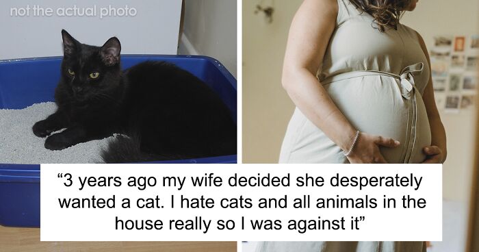 Guy Gets Called Out For Making His Pregnant Wife Scoop Cat Litter Because He Never Wanted The Cat