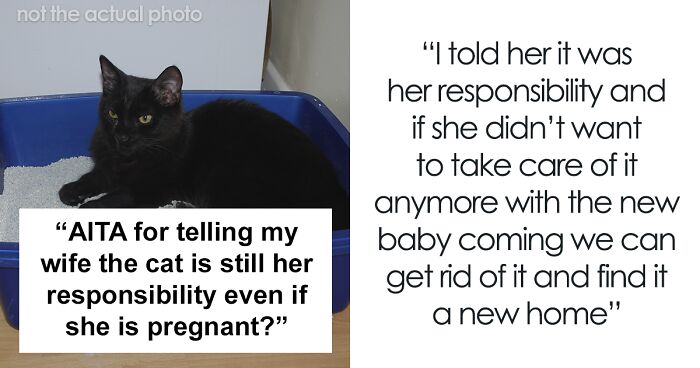 Guy Doesn't Understand How He Might Be Wrong For Refusing To Clean Cat's Litter Box For Pregnant Wife, Makes The Mistake Of Asking The Internet If He's A Jerk