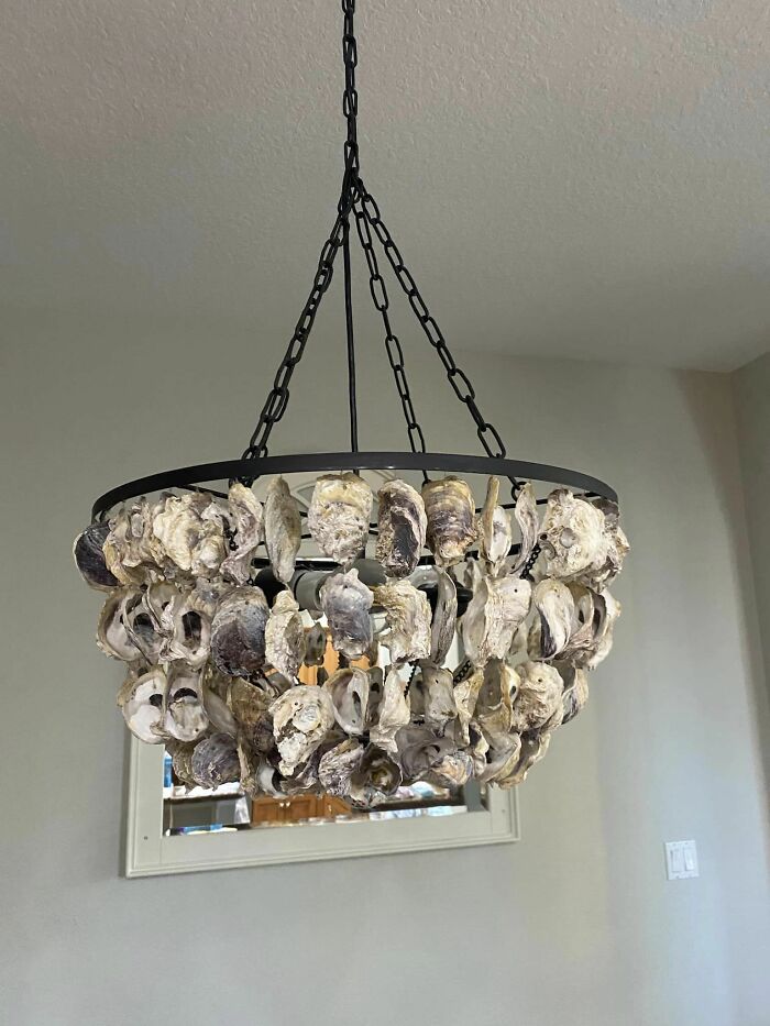 This Chandelier Made Of Sea Shells