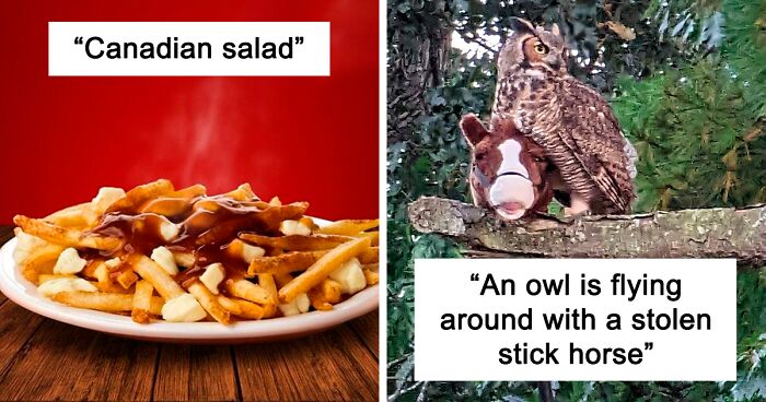 “Meanwhile In Canada”: 80 Memes That Perfectly Reflect The Country