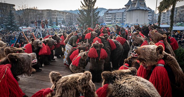 The Nature Photographer Of The Year 2022 Awards Has Just Announced Their Winners (68 Pics)