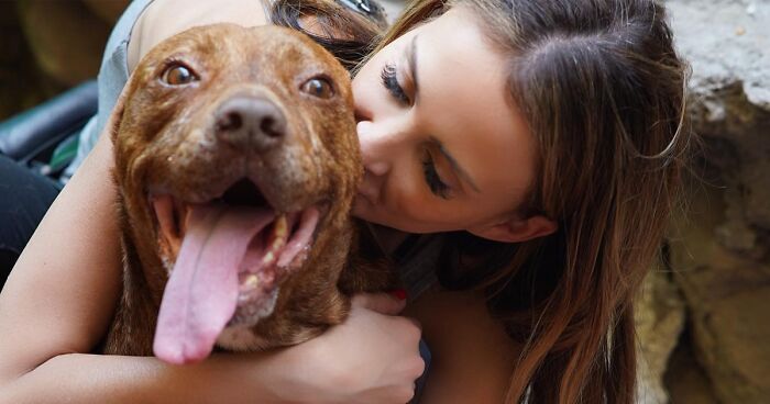 This Pit Bull Was Horrifically Abused For 10 Years Before He Found His Peace When Taken Into The Hands Of Kind-Hearted People