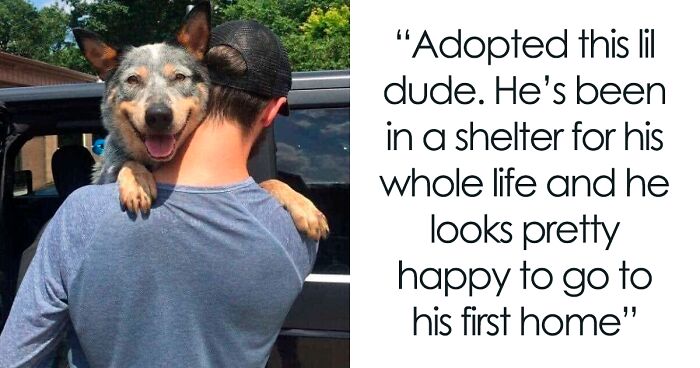 50 Soul-Healing Pics Of Adopted Pets And Their Owners, Showing The Joy Of Giving A Second Chance (December Edition)