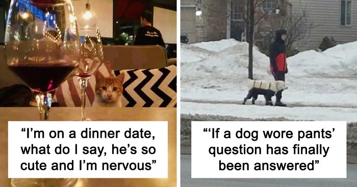 130 Incredibly Wholesome Memes To Warm Your Heart (New Pics)