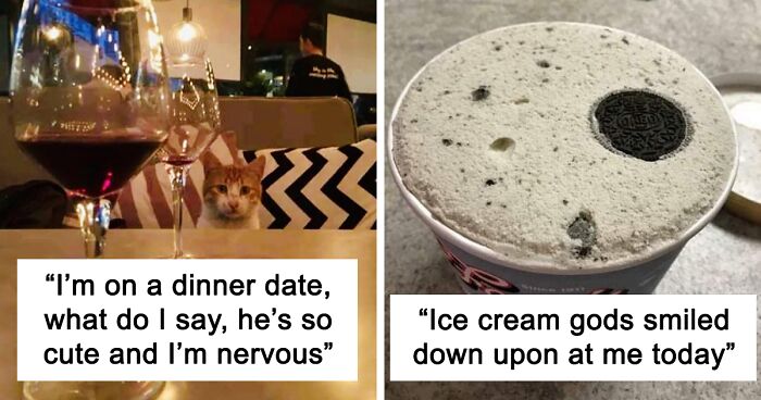 This Twitter Account Has Amassed 2.9M Followers For Sharing Wholesome Memes, Here Are 130 Of Their Best Posts (New Pics)