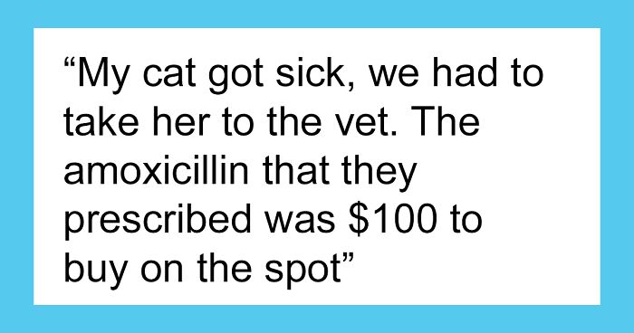 Woman Pays 10 Times Less For Cat Medication, Shares A Life-Saving Tip Many Pet Owners Don't Know