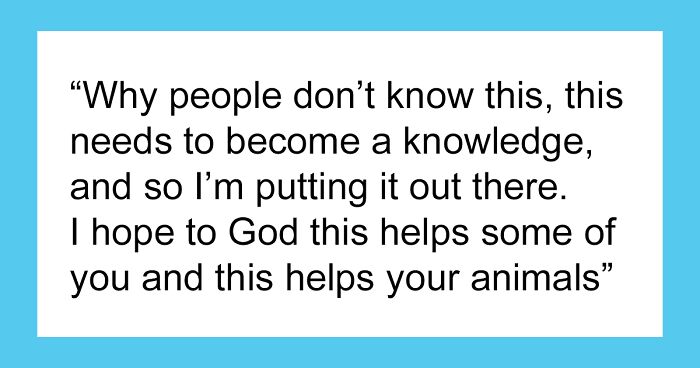 Woman Shares Possibly Life-Saving Tip On How To Get Cheaper Medication For Pets In The Hope That It Will Help Someone Out