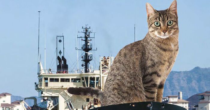 Giant Cats Interfere With Infrastructure In USACE's Witty 2023 Calendar