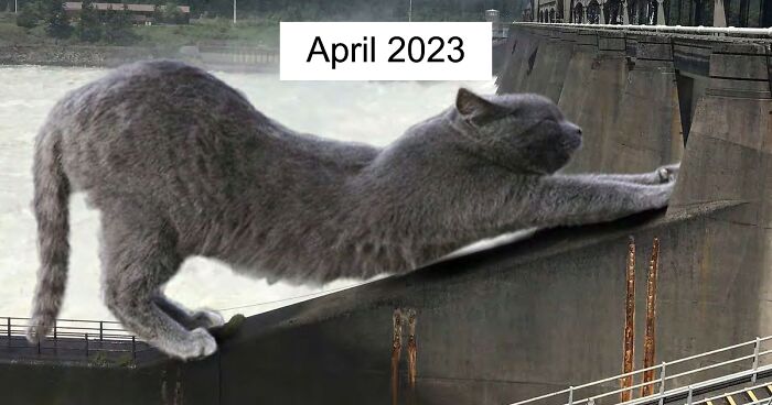 U.S Army Corps Of Engineers Took A Unique Approach When Creating The 2023 Calendar Of Giant Cats Interacting With Infrastructure