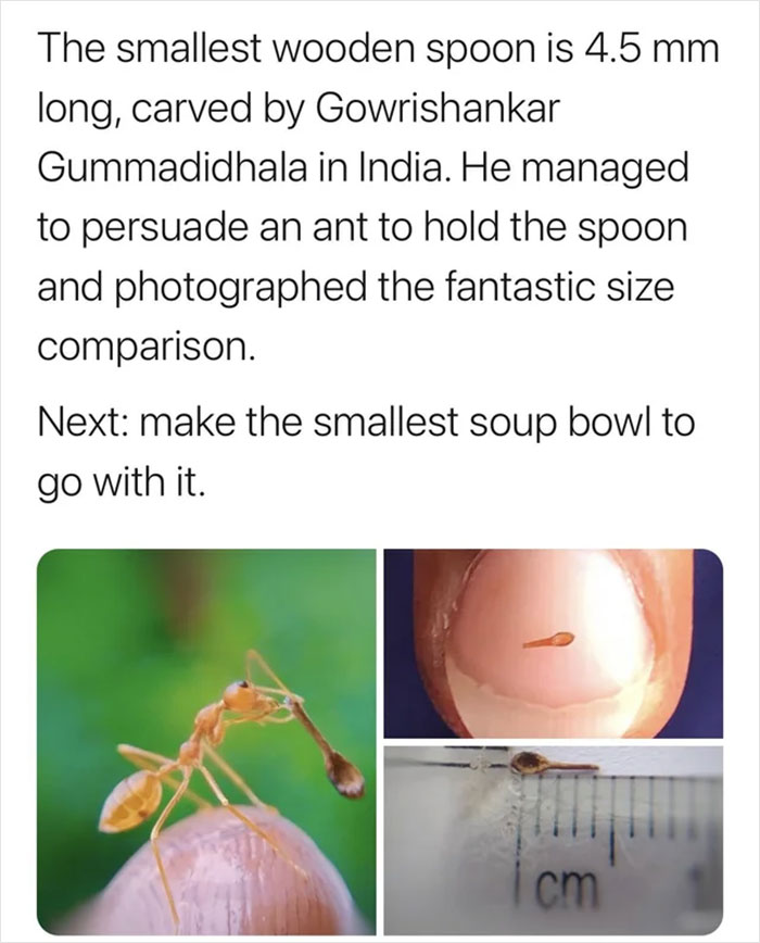 35 Times People Came Across Tiny Objects That Were So Cute, They Just Had  To Share Them In This Dedicated Online Group