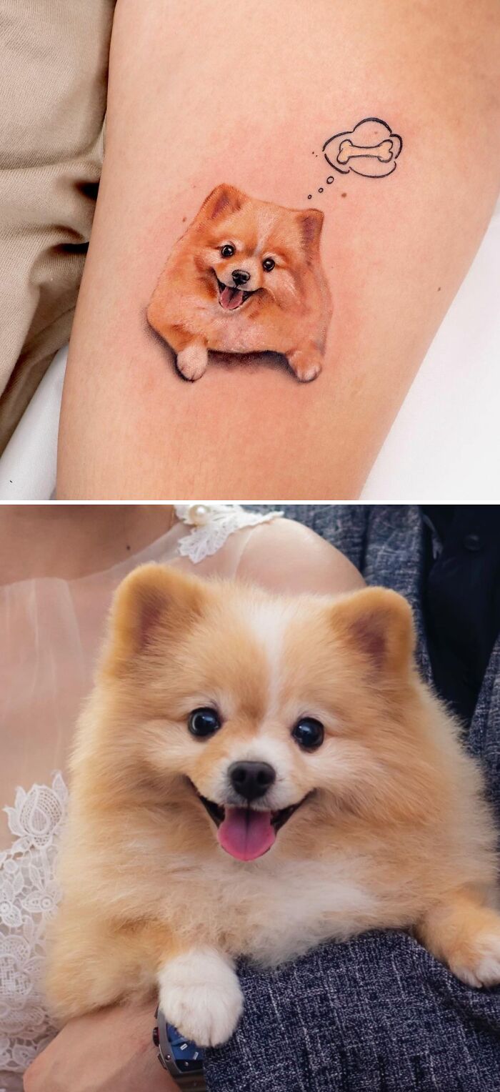 Tattoo dogpomeranian  Colour tattoo wame6592227169    Vaindalize  vaindalizetattoo fyp sgtattoo sgartist pet dog sgdogs sgpets pom  pommix puppygram tattoo  By Vaindalize  Facebook