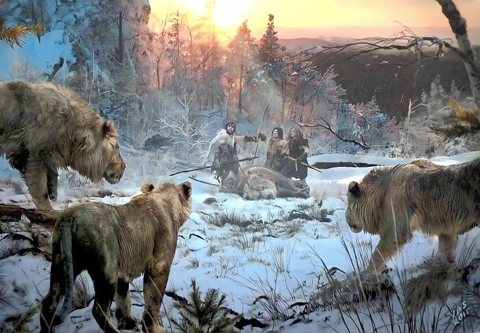 In The Break Of Dawn, A Group Of Neanderthal Standing Upon Their Cave Bear (Ursus Spelaeus) Kill Find Themselves The Target Of A Pride Of American Cave Lions (Panthera Leo Spelaea) !