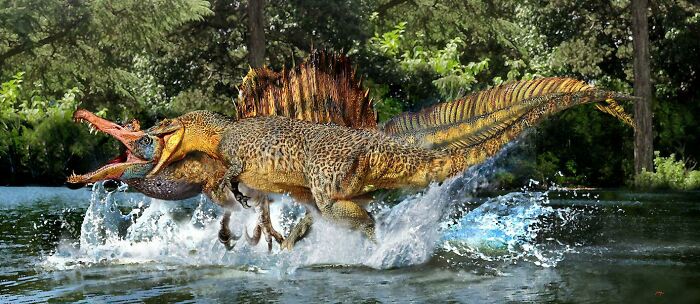 Carcharodontosaurus vs. Spinosaurus By Luis V Rey