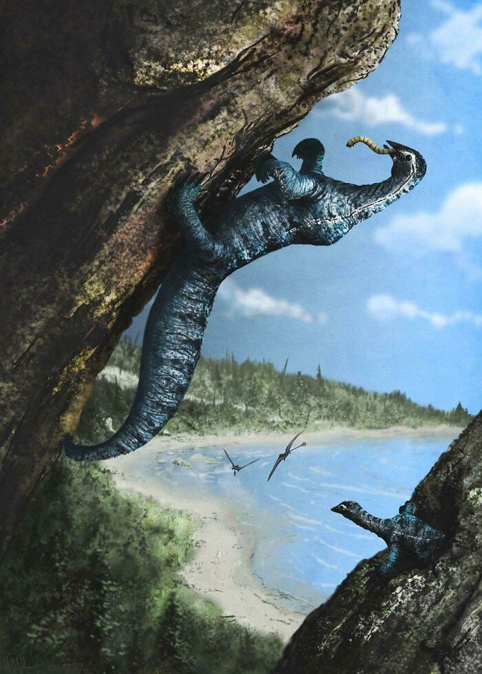 Drepanosaurus Unguicaudatus, An Unusual Reptile Known For Its Prehensile Tail From The Late Norian Of Northern Italy. Art By Mark Witton