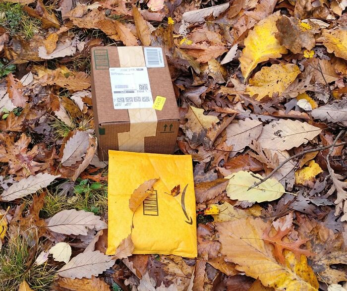 Amazon Packages May Also Be Found In The Pile Of Leaves