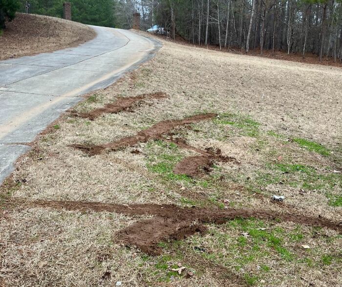 Amazon Drivers Damaging Yard