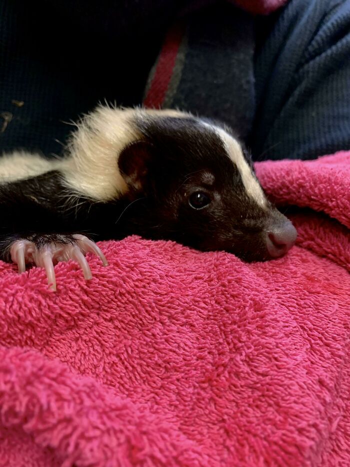 Aroma, One Of The Amazing Animals I Get To Work With As A Zookeeper!