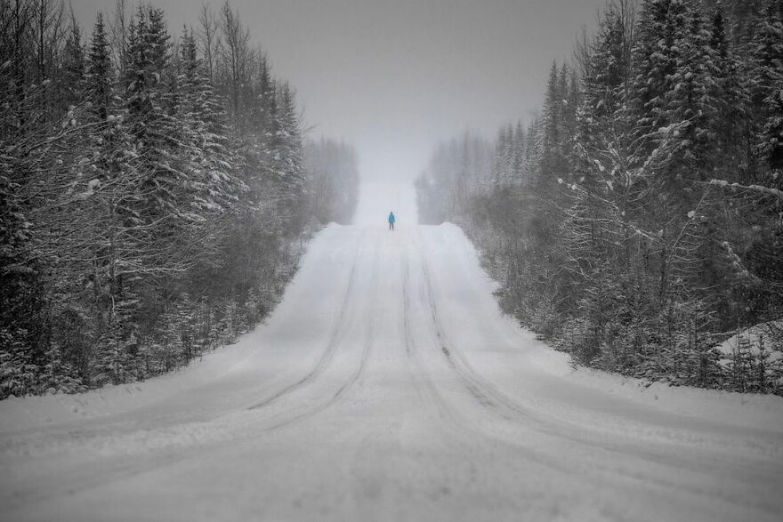 A photograph of wintery wonderland by Stanley Aryanto