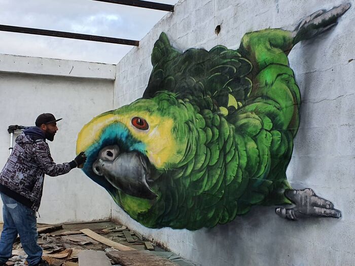 3d graffiti artists street painting