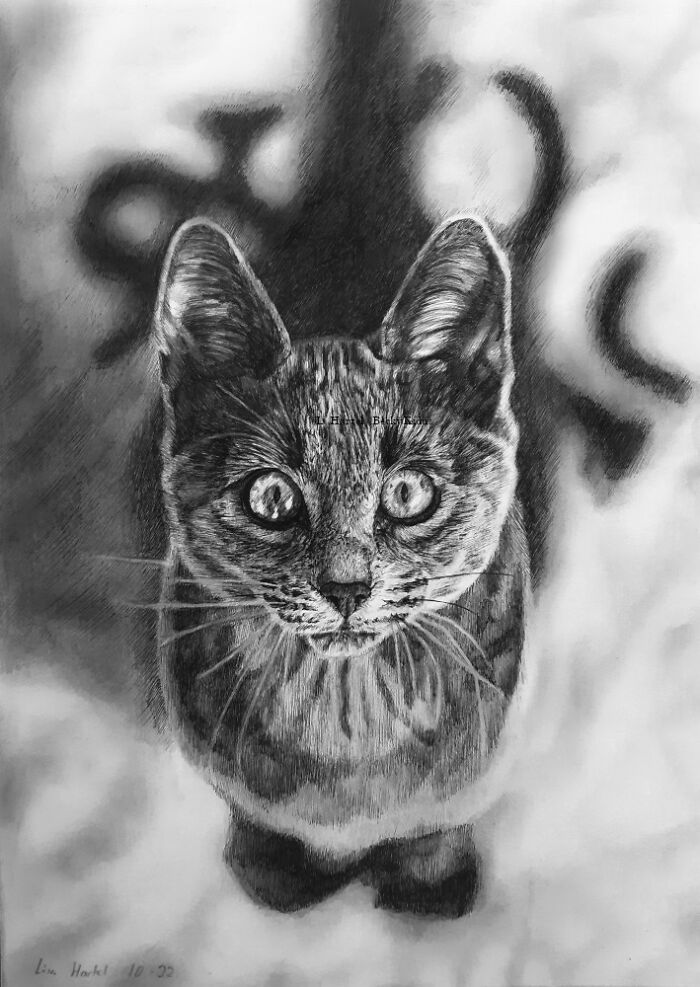 "The Caturdays Project": 25 Cat Drawings I Made In 2022