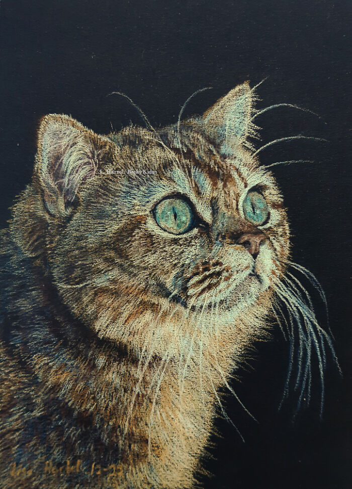 "The Caturdays Project": 25 Cat Drawings I Made In 2022